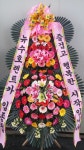 꽃배달 - 플라워119꽃배달서비스 플라워119꽃배달서비스 