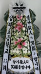 더플라워샵, 전라북도군산시 꽃배달 - 플라워119꽃배달서비스 - 카테고리 꽃다발 , 꽃배달, 꽃선물, 전국꽃배달서비스,맞춤꽃배달,꽃, 꽃집... 