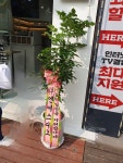 플라워119본부, 서울특별시서초구 꽃배달 - 플라워119꽃배달서비스 - 카테고리 꽃다발 , 꽃배달, 꽃선물, 전국꽃배달서비스,맞춤꽃배달,꽃, 꽃집... 