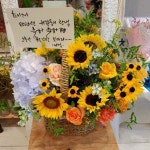 플로라현, 경상남도창원시 의창구 꽃배달 - 플라워119꽃배달서비스 - 카테고리 꽃다발 , 꽃배달, 꽃선물, 전국꽃배달서비스,맞춤꽃배달,꽃, 꽃집... 