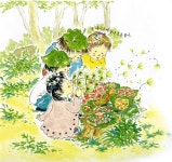 숲에서 놀기 화사한 가이드북 : 책&생각 : 문화 : 뉴스 : 한겨레 숲에서 놀기 화사한 가이드북