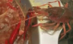 ‘박물관에서 마한 역사 체험하세요’ : 전국 : 사회 : 뉴스 : 한겨레 ‘박물관에서 마한 역사 체험하세요’