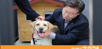 성남시 ‘행복이’ 둘러싼 설전…카라 “이재명 지사 책임 아냐”... 뉴스 : 성남시 ‘행복이’ 둘러싼 설전…카라, “이재명 지사 책임 아냐”
