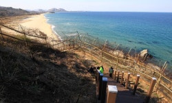 북가좌1동 주민센터 옥상의 특별한 장독대 : 전국 : 사회 : 뉴스 : 한겨레 북가좌1동 주민센터 옥상의 특별한 장독대