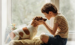 제주해군기지 건설은 공권력 인권침해의 결정판 : 전국 : 사회 : 뉴스 : 한겨레 제주해군기지 건설은 공권력 인권침해의 결정판