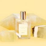 PRIDE 50ml EDT > 향수 | 힙합퍼｜거리의 시작 - Now, That's Street PRIDE50mlEDTgt향수힙합퍼｜거리의시작NowThatsStreet