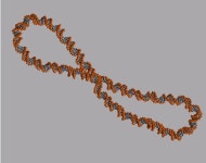 DNA Study Yields Big Surprise About The Tiny Molecule Of Life | The Huffington Post DNA Study Yields Big Surprise About The... 