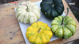 생방송 오늘 저녁 | GO! MBC