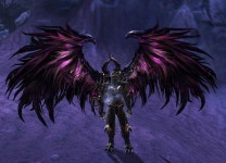 아이온 인벤 : 흑룡왕의 세트 룩 살펴보기 - _아이온 인벤 장비룩 게시판 흑룡왕의 세트 룩 살펴보기