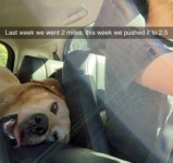 Daily Picdump  (102 pics) - Picture #16 - Izismile.com Daily Picdump  (102 pics)