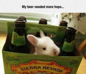 Daily Picdump  (104 pics) - Picture #56 - Izismile.com Daily Picdump  (104 pics)