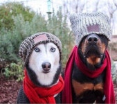 Daily Picdump  (99 pics) - Picture #9 - Izismile.com Daily Picdump  (99 pics)