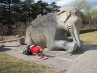 A casual shot (84 pics) - Picture #7 - Izismile.com A casual shot (84 pics)