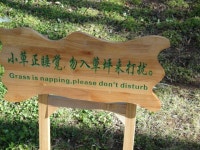 Daily picdump  (101 pics) - Picture #64 - Izismile.com Daily picdump  (101 pics)