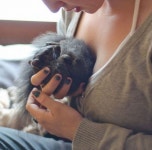 Daily picdump  (101 pics) - Picture #67 - Izismile.com Daily picdump  (101 pics)