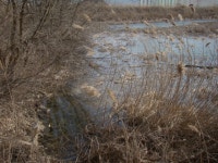 당일치기 4월의 제천 여행기 - 2 | 보배드림 베스트글