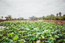 참좋은여행 호텔상세정보-[제주]루스톤 빌라앤호텔