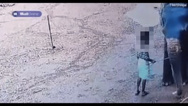 900㎏ 코끼리 때린 조련사의 최후…인도 충격