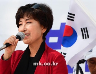 정미홍, 김정숙 여사에 