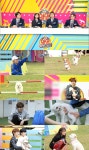 `아멍대` 신박한 독 스포츠, 관전 포인트 셋