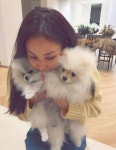 장동건♥ 고소영, 반려견들과 다정하게 찰칵