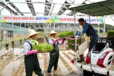 한국동서발전, 울주군 농지 3곳에 300kW 영농형 태양광 준공