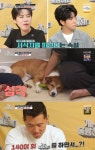 가족 공격하는 반려견 식빵이에 역대급 고민 [종합] 강형욱 ″개훌륭... 중 제일 어려워″... 가족 공격하는 반려견 식빵이에 역대급 고민 [종합]