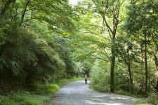 [Travel] 지리산 둘레길을 걸으며…내 안의 지리산을 맞이하다