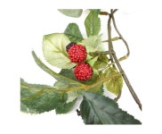 더리얼스 엠데코:대한민국 대표 플라워 종합쇼핑몰 [더리얼스 엠데코] 인조 조화 라즈베리 복분자 가랜드 180cm - 6줄 세트 조화넝쿨 담쟁이넝쿨... 