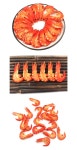 플라워 종합쇼핑몰 [더리얼스 엠데코] 구운 새우 모형 7.7cm 2개 세트 대하구이 찜 인조 쉬림프 음식모형 해산물 요리 뷔페 마트 데코 장식 교구 UR