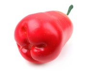 더리얼스 엠데코:대한민국 대표 플라워 종합쇼핑몰 [더리얼스 엠데코] 로즈애플 아키 자바애플 왁스애플 모형 10cm 열대과일 가짜 인조 과일... 