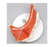 더리얼스 엠데코:대한민국 대표 플라워 종합쇼핑몰 [더리얼스 엠데코] 숄더랙 생고기 모형 24cm 오리지날 생고기 정육점 코너 고기뷔페 인조... 