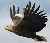 왕십리로 가주세요