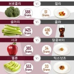 200칼로리 음식양 비교 ㅎㄷㄷㄷ