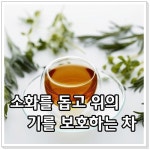 소화를 돕고 위의 기를 보호하는 차
