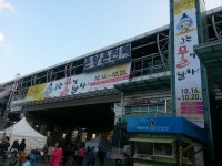[당일치기 기차여행] 충남 아산 온양온천역/온천대축제