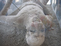 오~아름다운 인생이여~