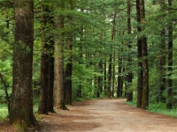 상품코드 DWPS00TC11 출발일 2018년 06월 10일 일정표 - 다시 만나고 싶은 여행 - 모두투어