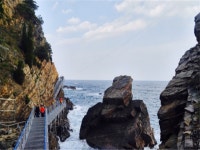 상품코드 DWPS00HK09 출발일 2018년 02월 26일 일정표 - 다시 만나고 싶은 여행 - 모두투어