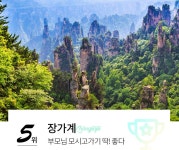 MO 트래블마트 MOD | NOL 인터파크투어 이벤트혜택존 MO_트래블마트_MOD
