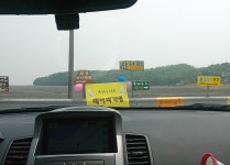 율군 촬영했는데 이쁘죠^^>