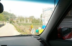 율군 촬영했는데 이쁘죠^^>