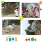 테마동물원쥬쥬..(일산)