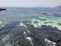 너무나도 즐거웠던 제주 가족여행^^ - 우도 올레 보트