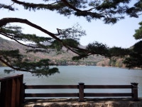 양산 법기수원지