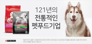 멍뭉이와 냥이를 위한 문고리닷컴의 생각! 문고리펫