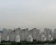 종목의발견 > 종목뉴스 :: 씽크풀