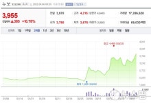 블라인드 | 누보 뉴스