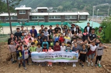 강원도 태백, “내 가족 사랑 나무 심기” 행사 실시 | 뉴스로