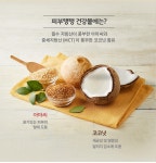 도매꾹 :: 대한민국1위 돈버는 쇼핑 - 도매꾹 [도매꾹] 밥이보약 피부탱탱 건강볼 38g